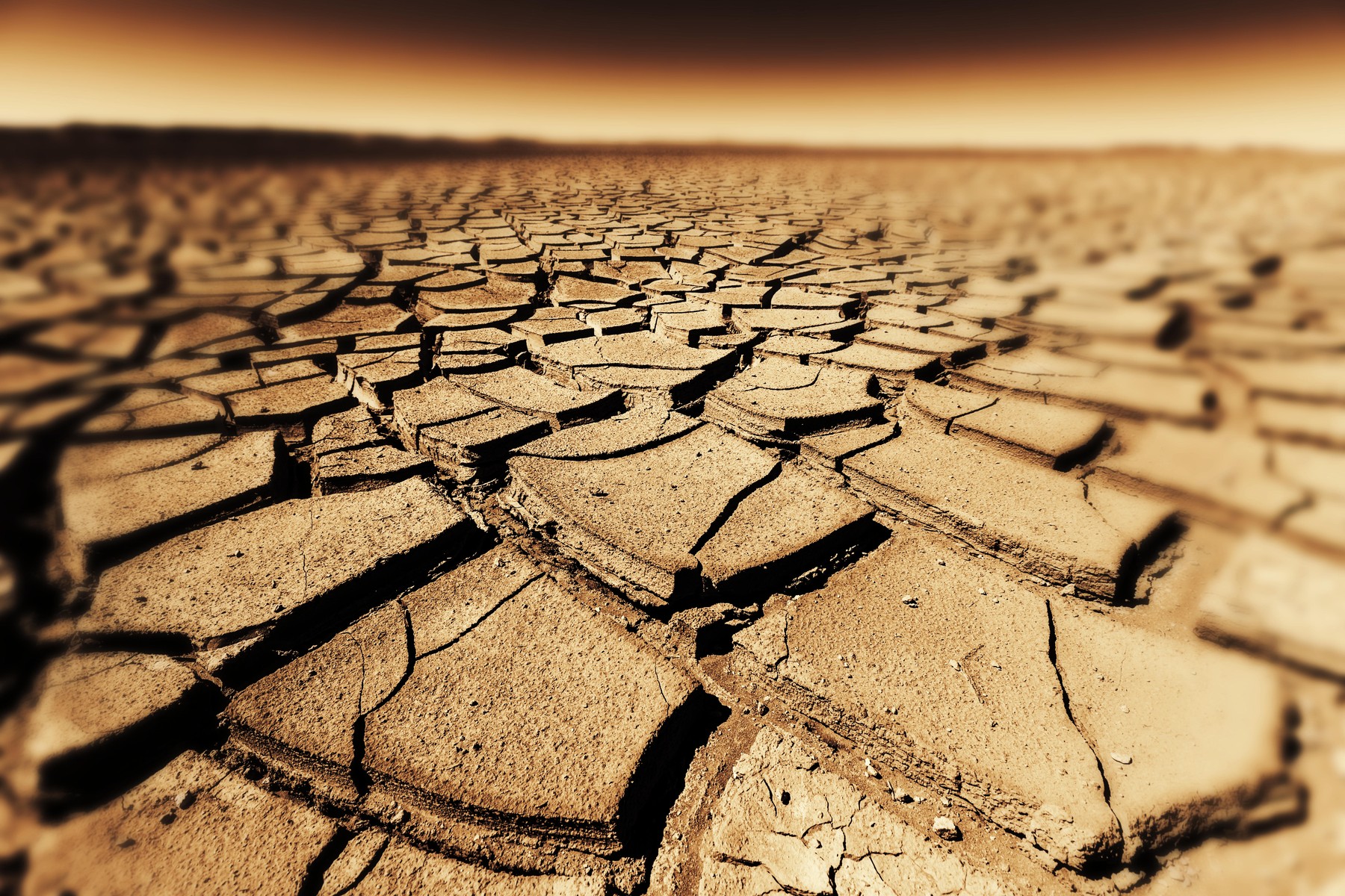 Seceta accelerează răspândirea bacteriilor rezistente la antibiotice, avertizează studiile