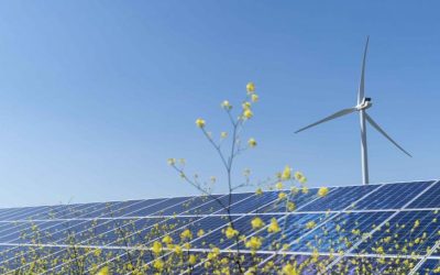 Prețurile energiei electrice din Polonia devin negative pentru consumatorii casnici de energie regenerabilă Prețurile energiei electrice din Polonia au trecut în teritoriu negativ pentru anumite categorii de consumatori, în special pentru cei care achiziționează energia prin instalații regenerabile casnice