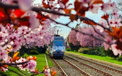 Cele mai importante evenimente din București pe care trebuie să le pui în calendar