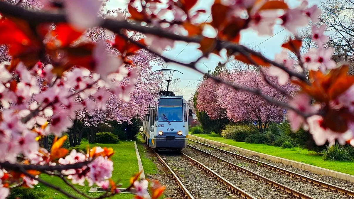 Cele mai importante evenimente din București pe care trebuie să le pui în calendar