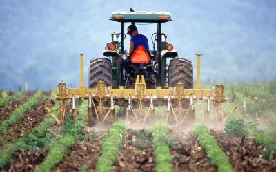 Agricultură românească, la mâna analfabetismului: Fermierii, fără studii