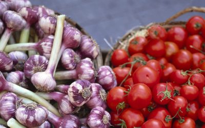 Amenzi USTURĂTOARE pentru fermieri: Până la 35.000 de lei! ANF dă NOILE reguli!