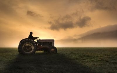 Fermierii, strigăt de alarmă: Guvernul și UE, „lăsați prostiile” în agricultură!