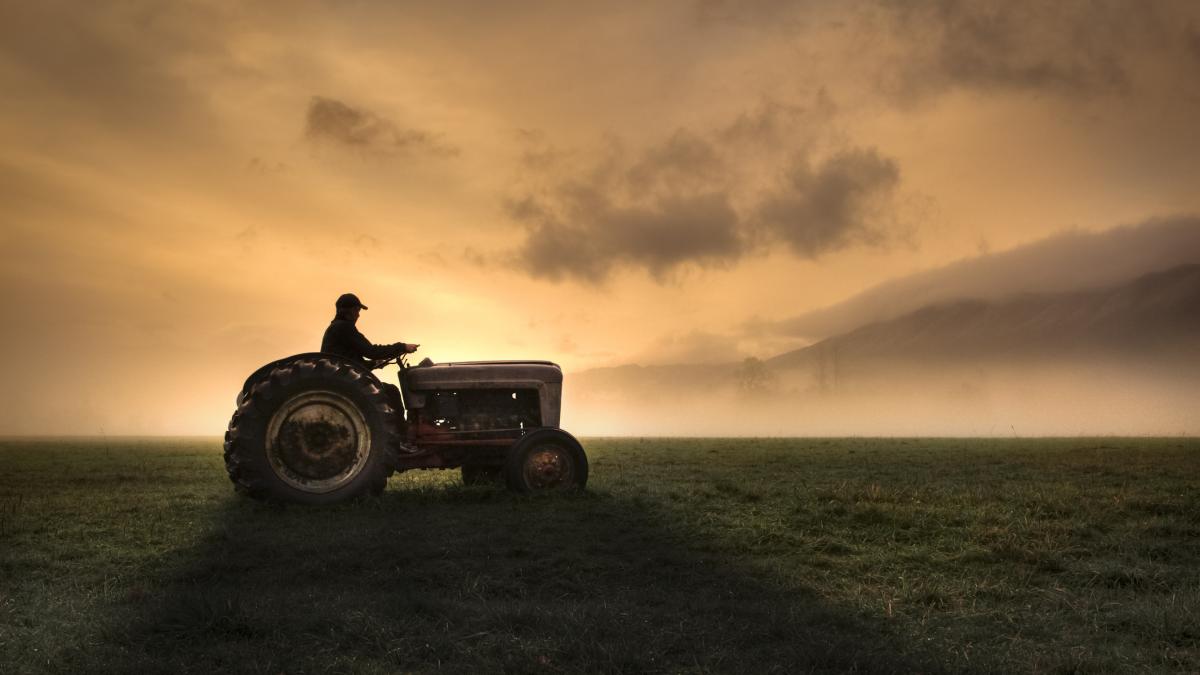 Fermierii, strigăt de alarmă: Guvernul și UE, „lăsați prostiile” în agricultură!