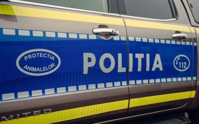 Alba: Tânăr de 18 ani, arestat după ce a ucis un bărbat cu cuțitul, în familie