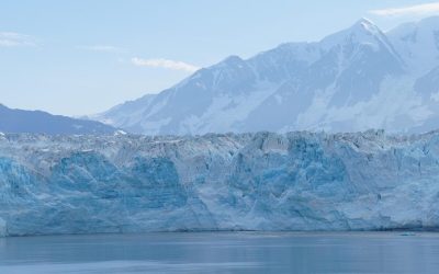 Mii de protestatari au ieșit în stradă în ARGENTINA pentru a-și exprima nemulțumirea față de un amendament legislativ controversat, care, Amendamentul, o amenințare la adresa mediului? Proiectul de lege, inițiat de președintele de dreapta JAVIER Milei, a fost aprobat de deputați cu 137 de voturi pentru și 111 împotrivă