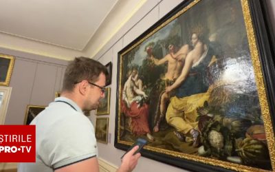 Ghid AI la Muzeul Brukenthal: Vizitator ȘOCAT de Răspunsul Inedit