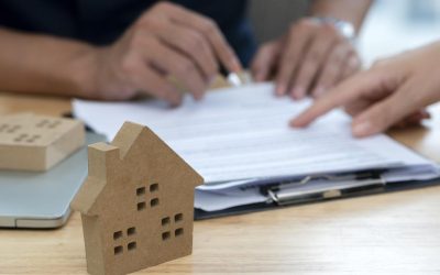 Guvernul simplifică insolvența, DARAU: Oamenii, protejați de exproprieri