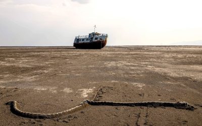 Seceta lovește SUA: Hub-ul energetic, în pericol. Rafinăriile, pe butuci