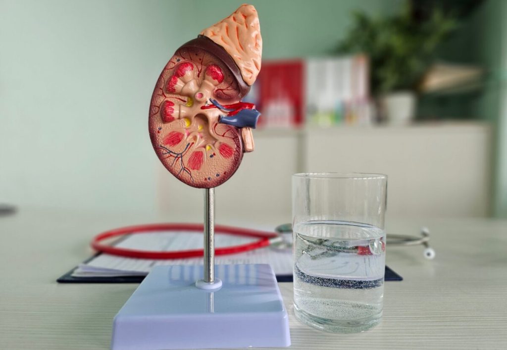 Obiceiul banal care-ți salvează rinichii: Recomandarea medicilor!