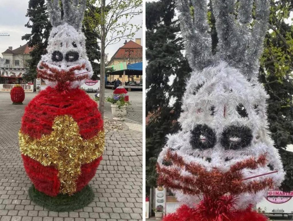 Iepurașii horror din Baia Mare revoltă locuitorii: „Te doare mintea”