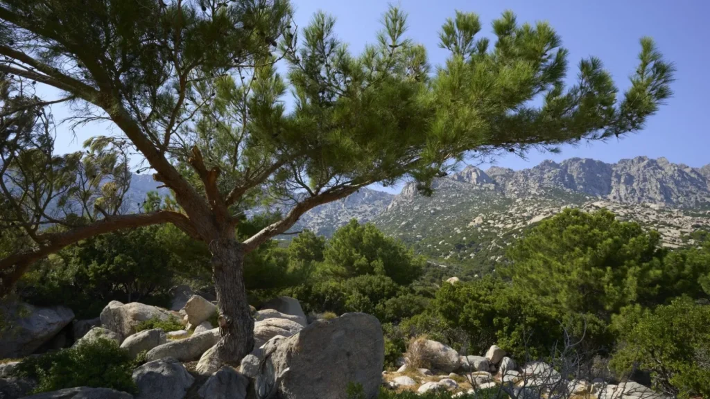 Insula misterioasă din apropierea României: Secretul vieții peste 90 de ani