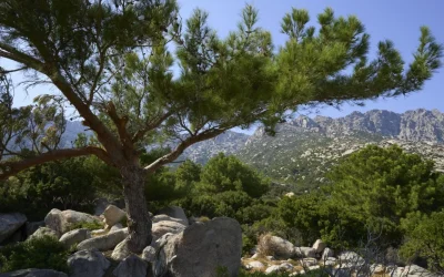 Insula misterioasă din apropierea României: Secretul vieții peste 90 de ani