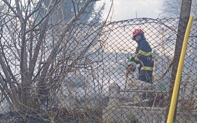 Incendiu devastator într-un cimitir din Botoșani: flacăra ucigașă a unei lumânări