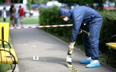 Alba: Tânăr ucigaș, arestat după crimă șocantă în familie