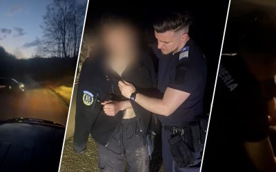 Urs furios în pădure: Tânăr urmărit, și-a abandonat motocicleta și a fost salvat de jandarmi