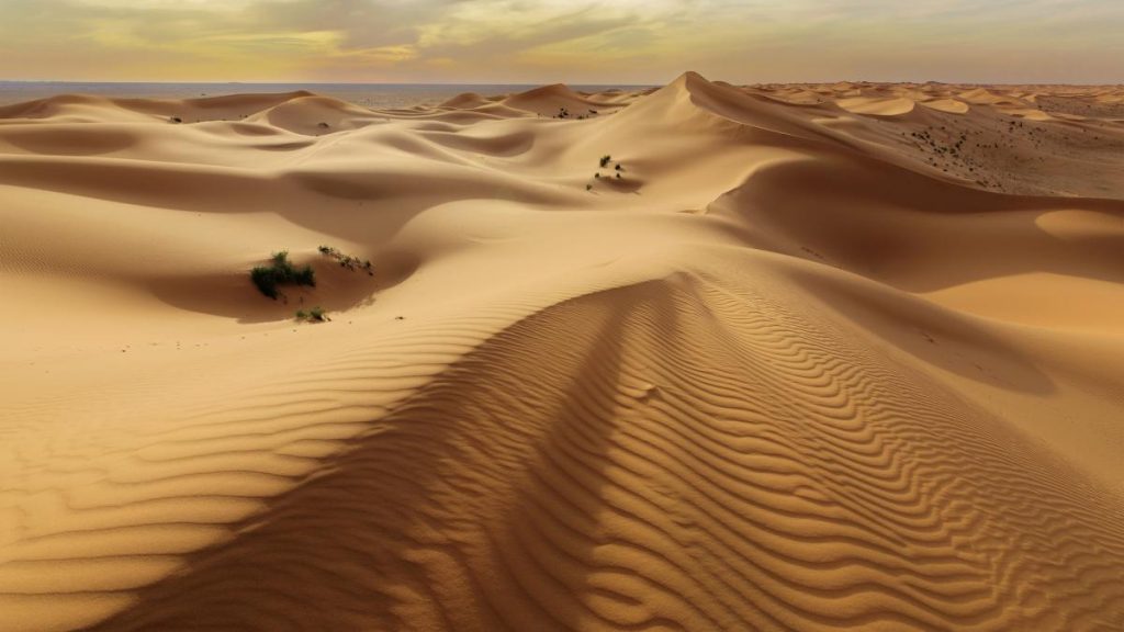 Japonia și Norvegia inovează: nisipul deșertic, nou material de construcții