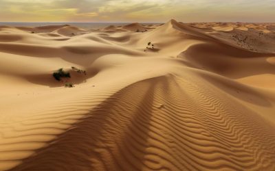 Japonia și Norvegia inovează: nisipul deșertic, nou material de construcții