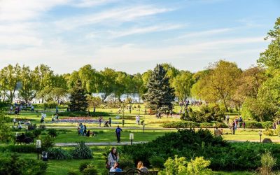 Festivalurile FILM O’Clock, Alpin și Hanami, distracție la final de săptămână