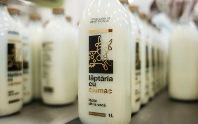 Lăptăria cu Caimac vrea o fermă solară: 20 milioane € de la UE, în Ialomița