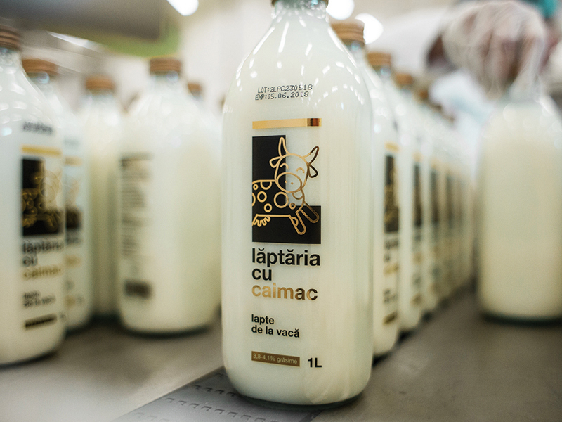 Lăptăria cu Caimac vrea o fermă solară: 20 milioane € de la UE, în Ialomița