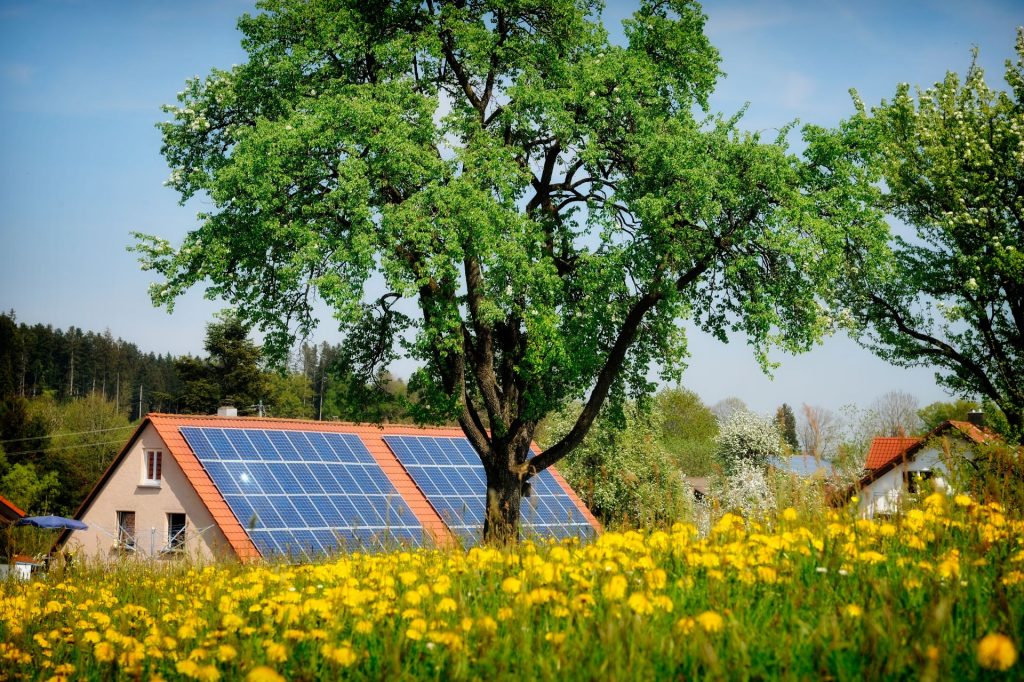 Lemnul minune: Inginerii inventează panouri solare care funcționează și noaptea