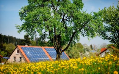 Lemnul minune: Inginerii inventează panouri solare care funcționează și noaptea