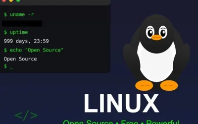 Franța dă Windows-ul pe Linux: Parisul vrea suveranitate digitală față de Giganții Tech