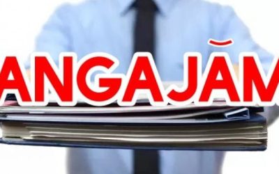 Angajări în România: Firmele „se bat” pe șoferi, curieri și necalificați