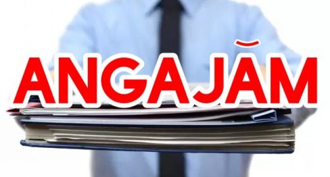 Angajări în România: Firmele „se bat” pe șoferi, curieri și necalificați