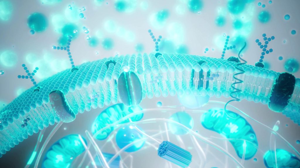 Industria longevității a câștigat o nouă dimensiune în ultimii ani, oferind servicii și evaluări costisitoare, promițând nu doar o viață mai lungă, ci și mai sănătoasă