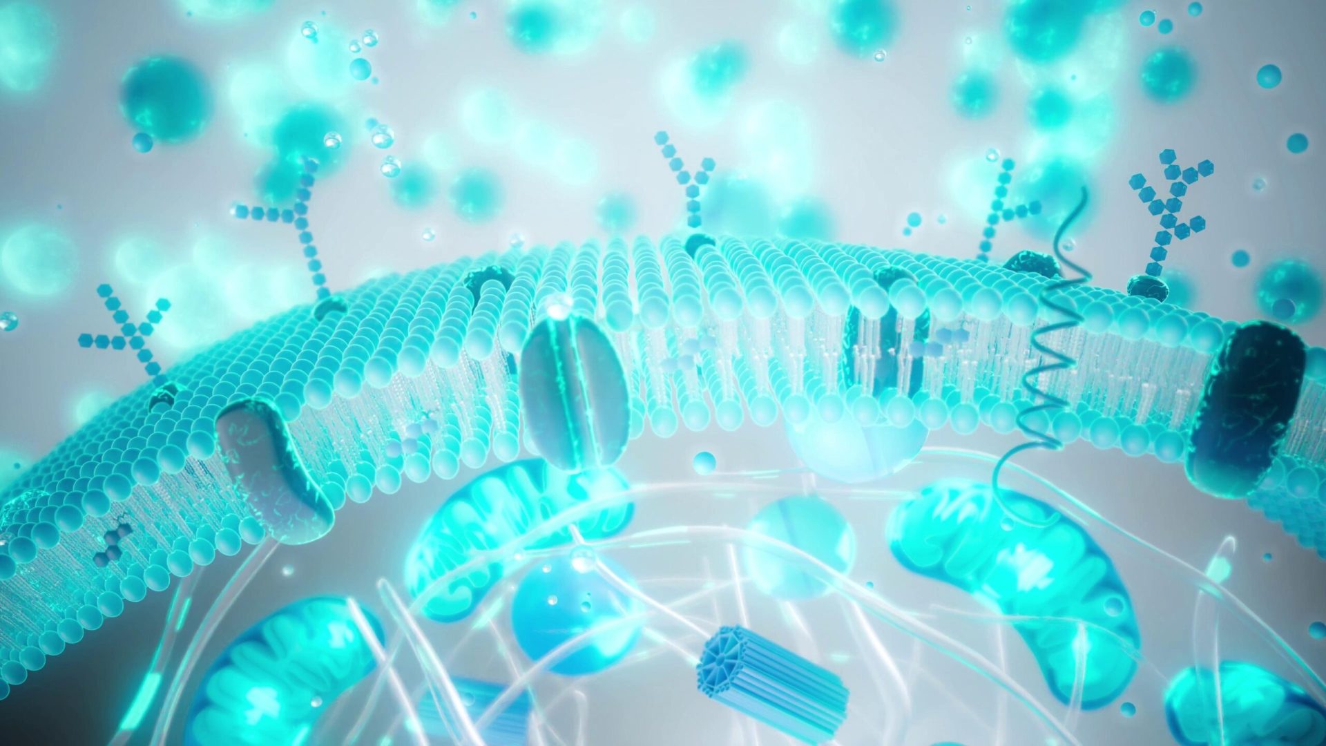 Industria longevității a câștigat o nouă dimensiune în ultimii ani, oferind servicii și evaluări costisitoare, promițând nu doar o viață mai lungă, ci și mai sănătoasă
