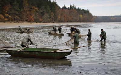 Controale-fulger în piscicultură: Amenzi usturătoare după verificări