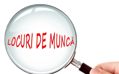 Ce locuri de muncă caută românii? Salariile-record din România