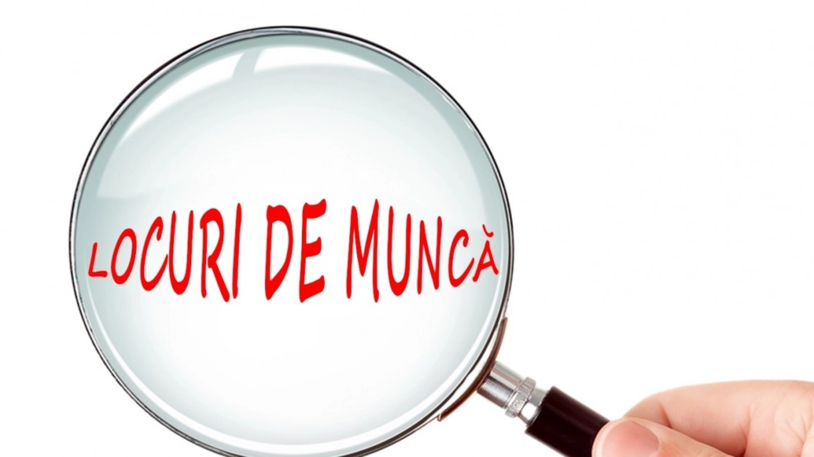 Ce locuri de muncă caută românii? Salariile-record din România