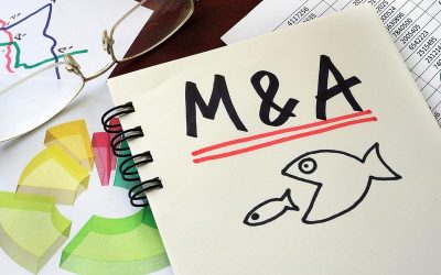 Carrefour și Garanti, afaceri record pe piața M&A din România în Q1