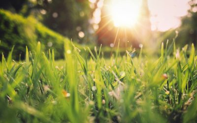 Prognoza meteo: Vremea se schimbă, dar plouă în unele zone din România