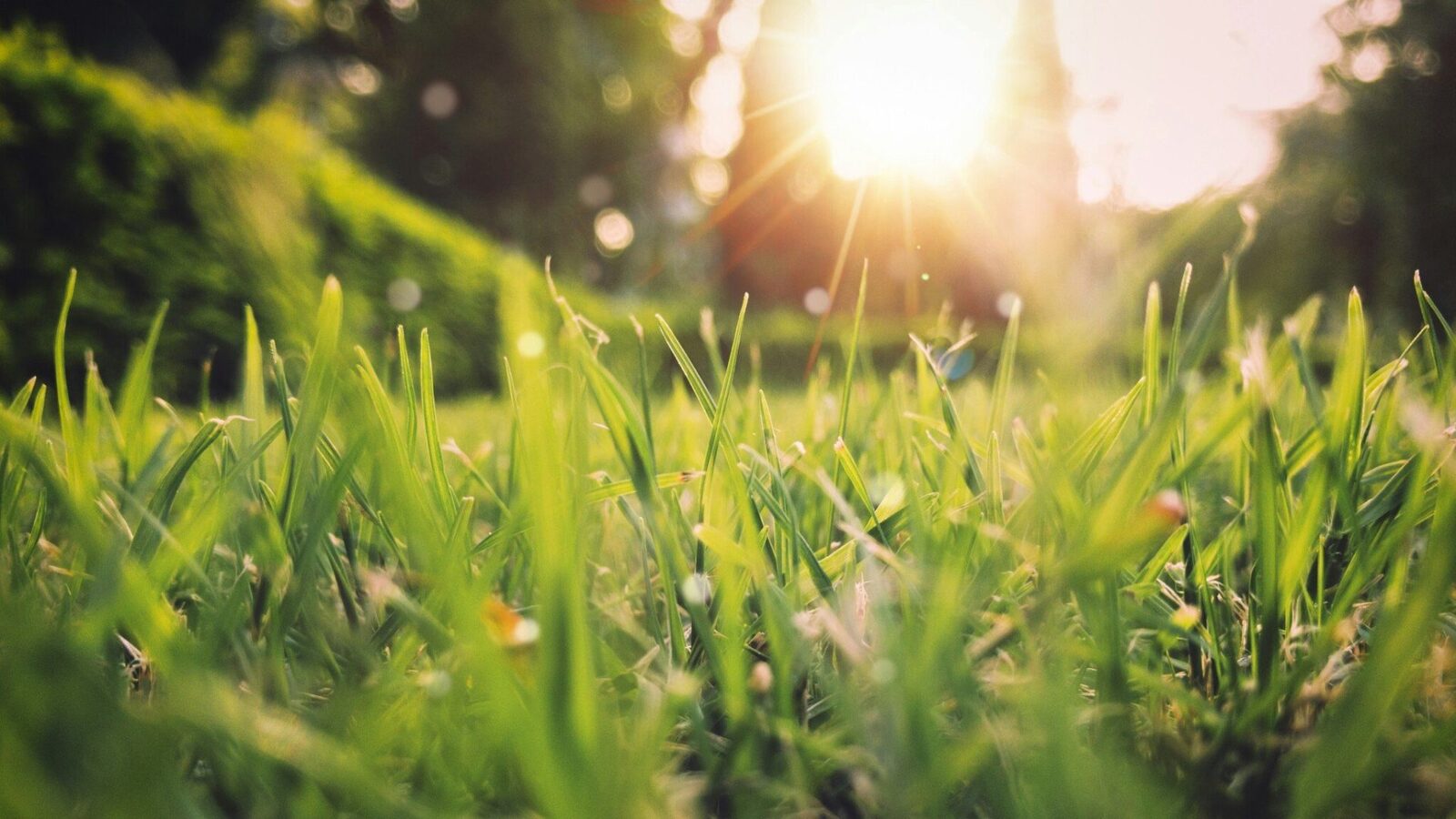 Prognoza meteo: Vremea se schimbă, dar plouă în unele zone din România