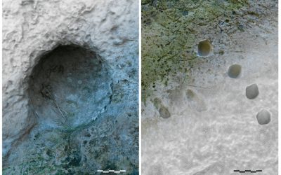 Un tip de armă revoluționară pentru vremea sa, un fel de „mitralieră” antică, ar fi fost folosită de romani în timpul asediului orașului Pompeii, cu mult înainte de erupția Vezuviului