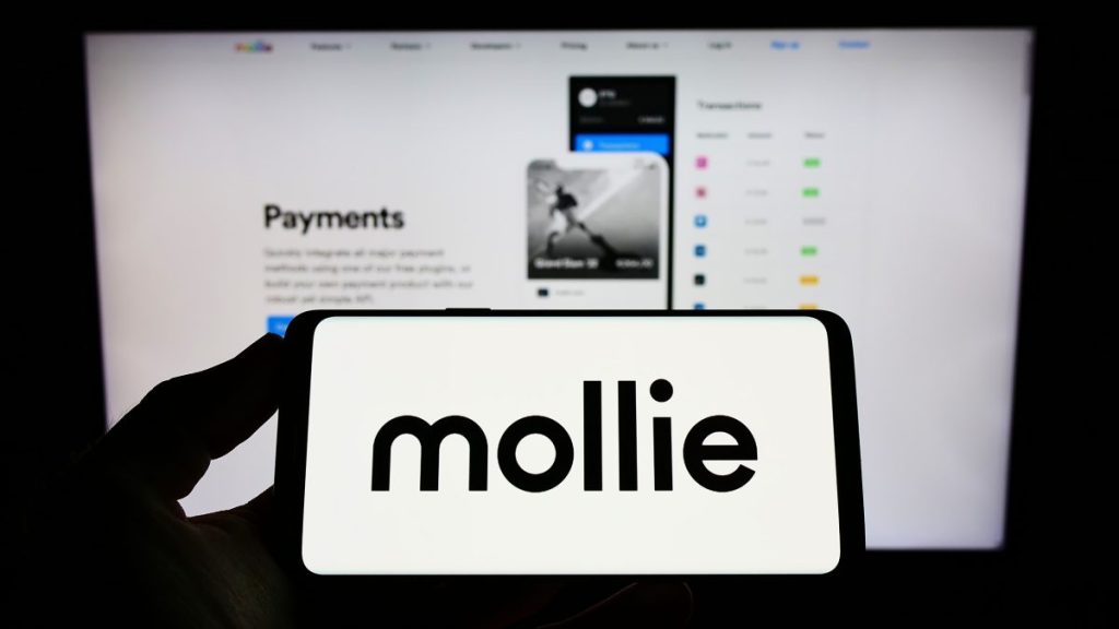 Mollie intră în România: Antreprenorii, salvați de sistemele „învechite”