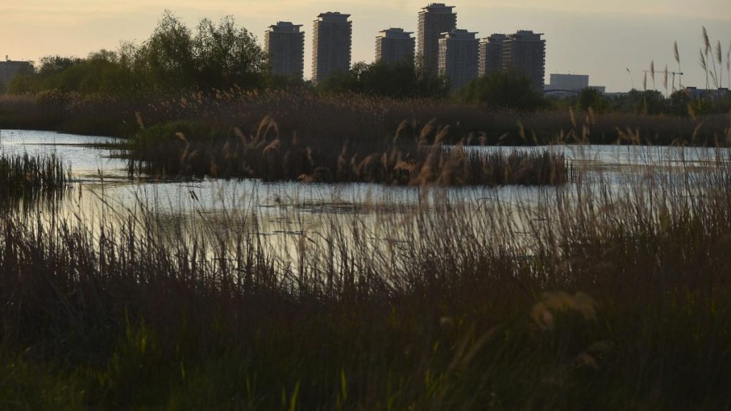 București: Delta Văcărești, o oază sălbatică ce uimește Bloomberg