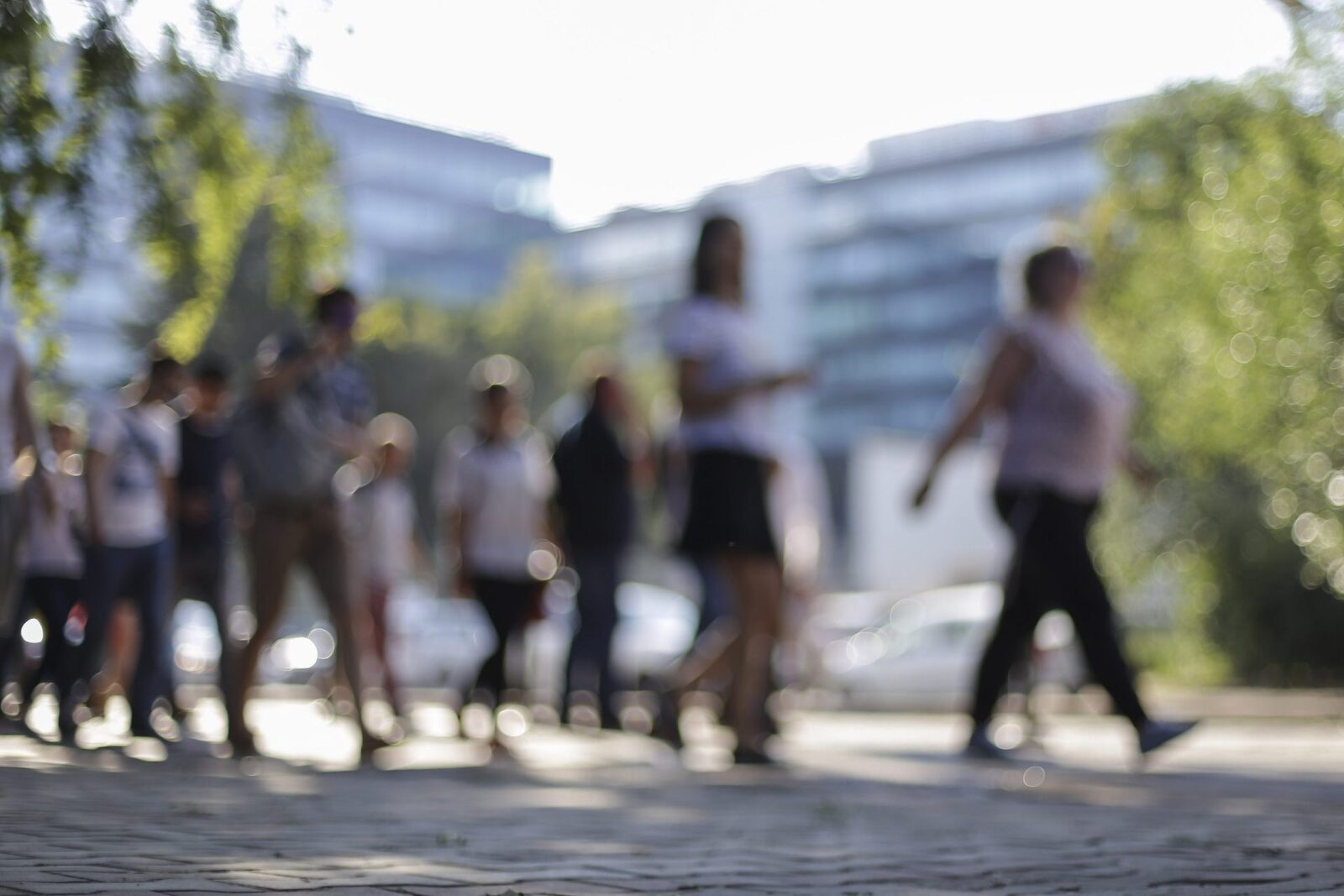 În Harghita, 200 de șomeri au învățat română: ”Comunicare cu colegii, prioritară”