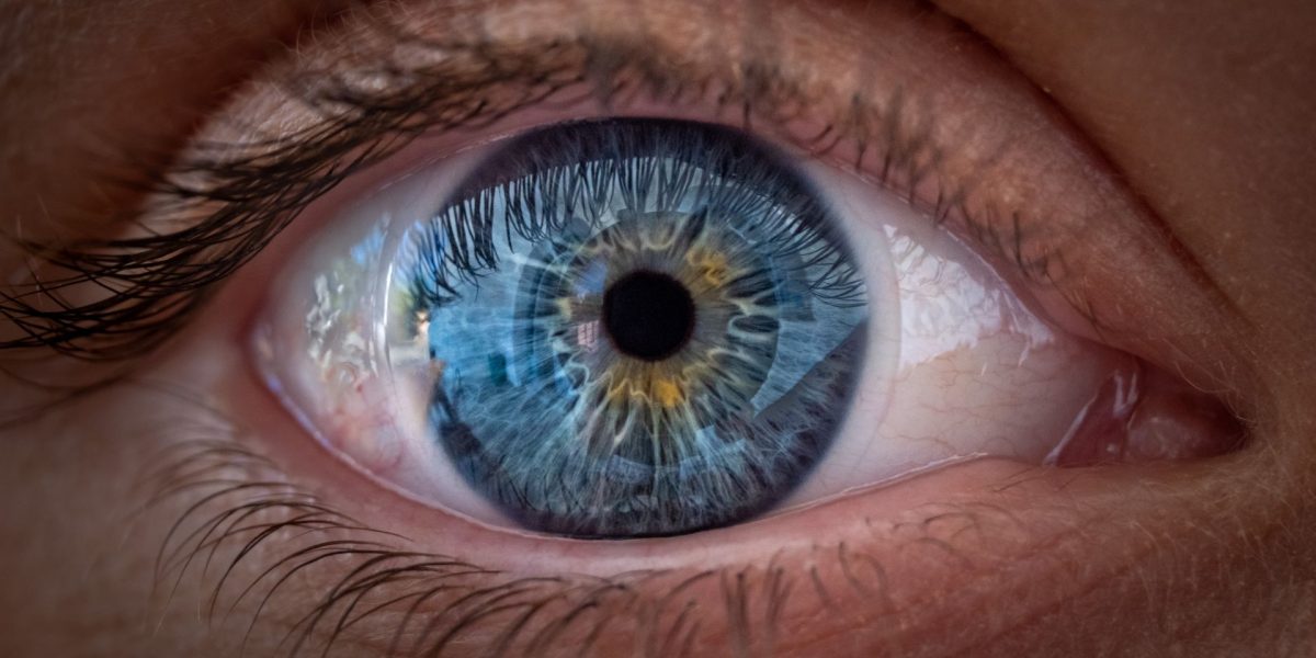 Ochii, secretul culorilor: Studiul care răstoarnă totul despre vedere