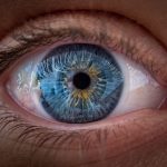 Ochii, secretul culorilor: Studiul care răstoarnă totul despre vedere