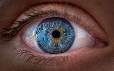 Un nou studiu revoluționează înțelegerea modului în care ochiul uman percepe lumea, sugerând că focalizarea culorilor nu se bazează doar pe claritatea imaginii, ci și pe mecanisme complexe de procesare neuronală