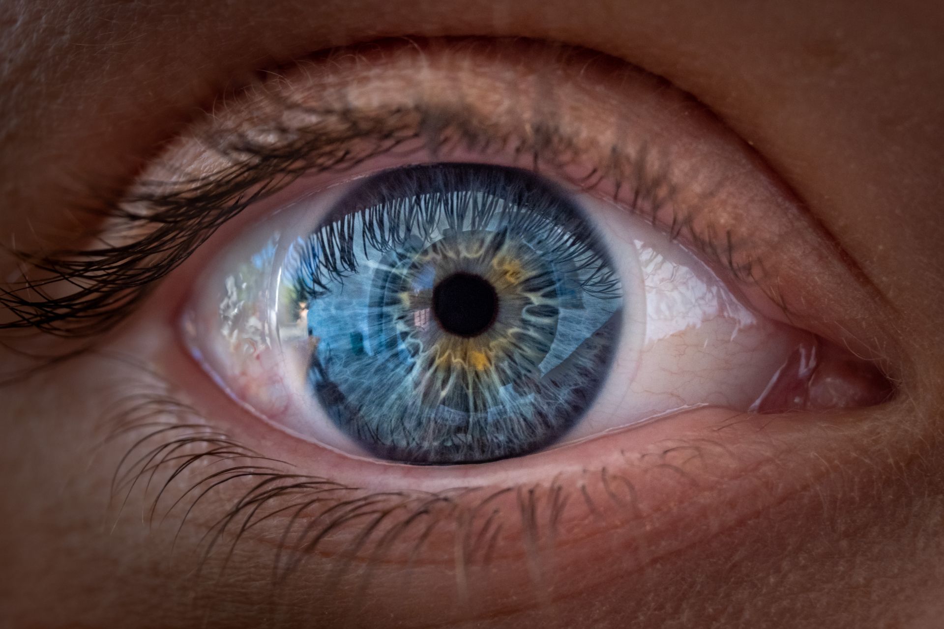 Un nou studiu revoluționează înțelegerea modului în care ochiul uman percepe lumea, sugerând că focalizarea culorilor nu se bazează doar pe claritatea imaginii, ci și pe mecanisme complexe de procesare neuronală