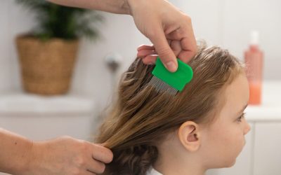 Remedii naturale ANTI-PĂDUCHI: Scapă de insecte rapid și EFICIENT