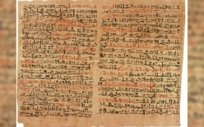 Papirusul Edwin Smith, unul dintre cele mai vechi și mai sofisticate documente medicale din istorie, a fost descoperit în timpul cercetărilor arheologice din Egipt