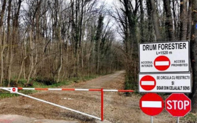 Romsilva blochează accesul în Pădurea Băneasa: Greenfield, izolați de calea forestieră