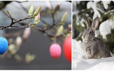 Paște friguros: Ploi, ninsori și temperaturi scăzute în România, dar de luni vine vreme bună